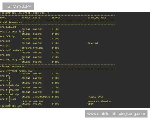 欧战数据异常引发调查